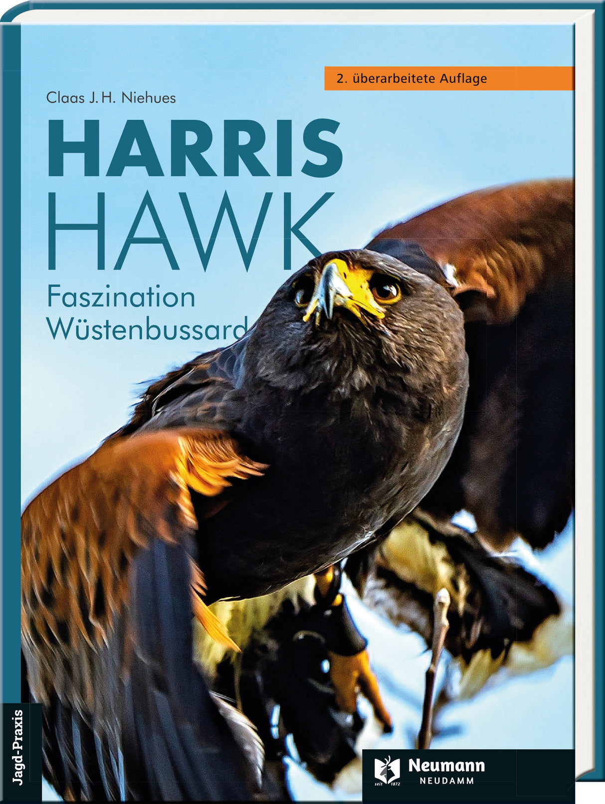 Niehues, Harris Hawk