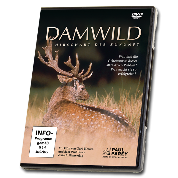 DVD "Damwild" Betz/Herren