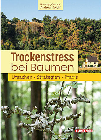 Trockenstress bei Bäumen, Roloff