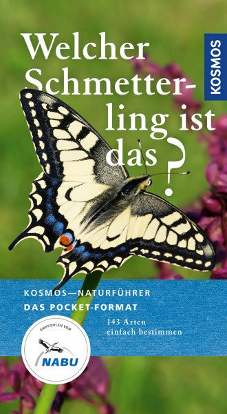 Welcher Schmetterling, Dreyer