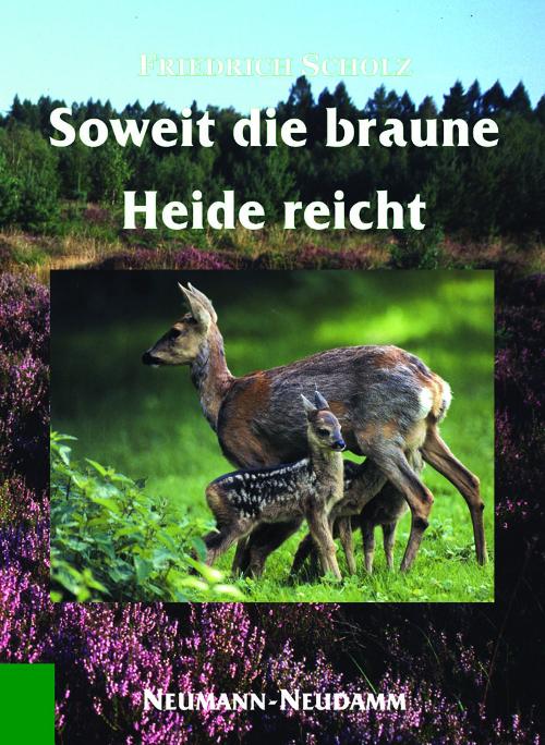 Soweit die braune Heide reicht, Scholz