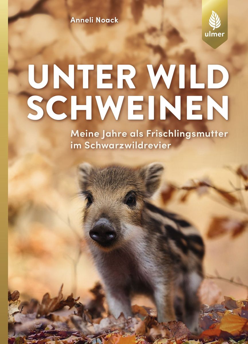 Unter Wildschweinen, Noack