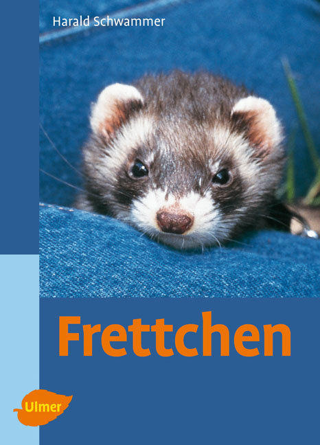 Frettchen, Schwammer