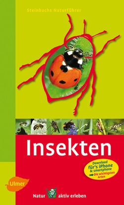 Steinbachs Naturführer: Insekten