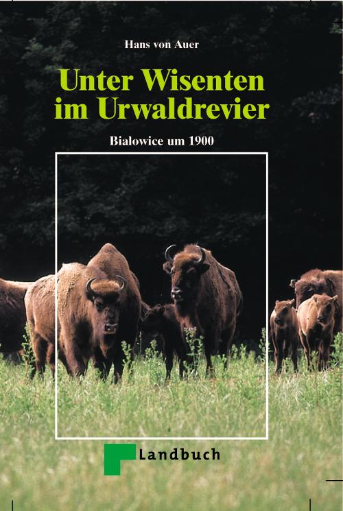 Unter Wisenten im Urwaldrevier, von Auer