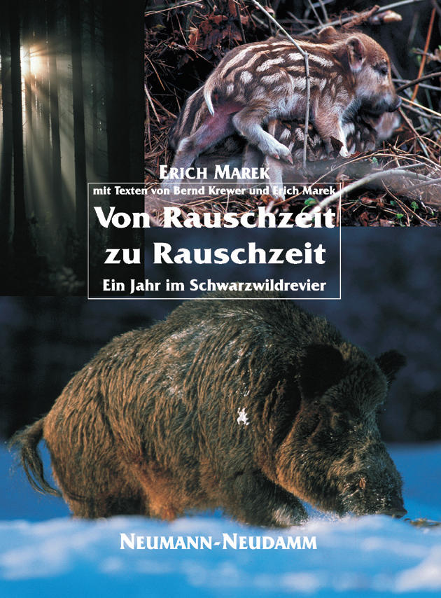 Von Rauschzeit zu Rauschzeit, Marek