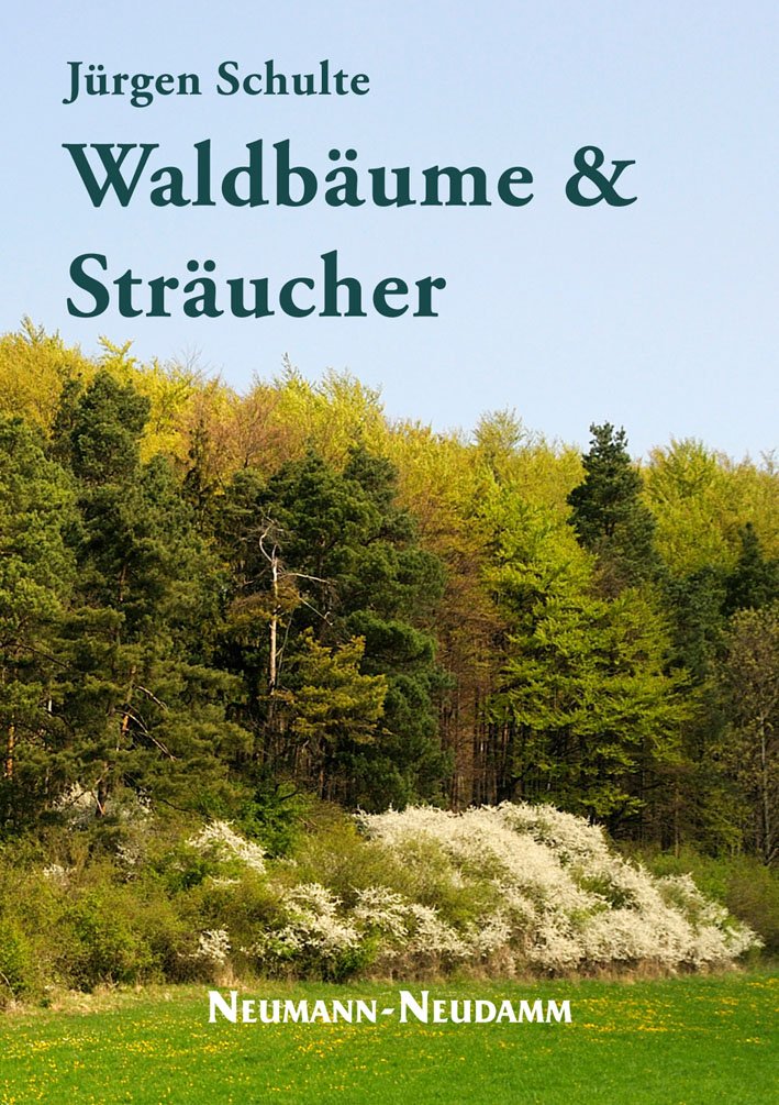 Waldbäume und Sträucher, Schulte