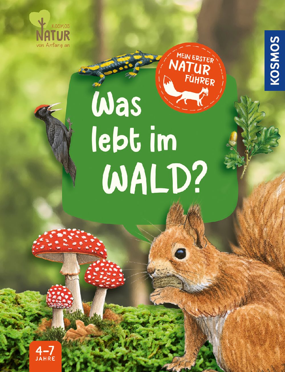 Was lebt im Wald?