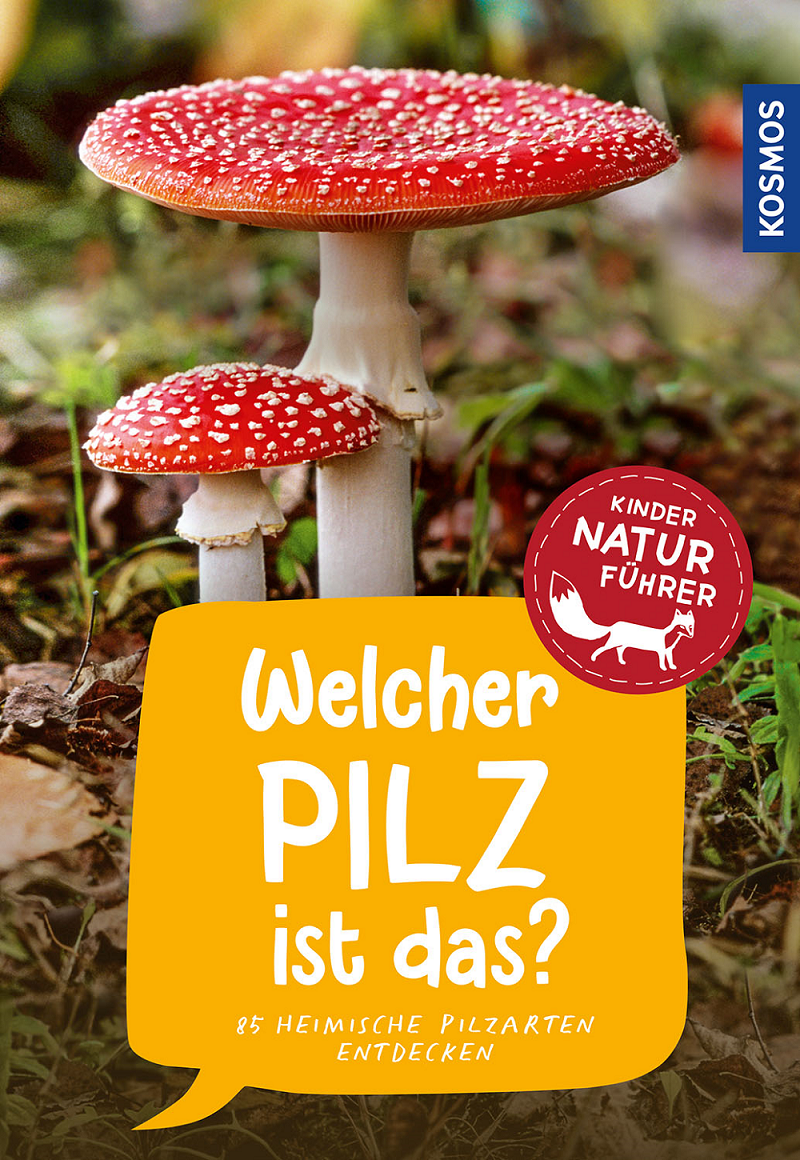 Welcher Pilz ist das? - Oftring/Böhning