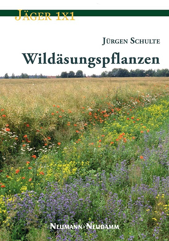 Wildäsungspflanzen, Schulte