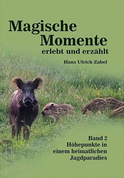 Magische Momente Band 2, Zabel