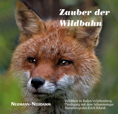 Im Zauber der Wildbahn, Marek